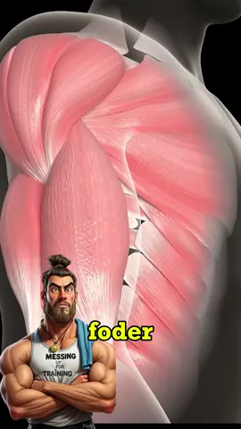 Entendeu porra?