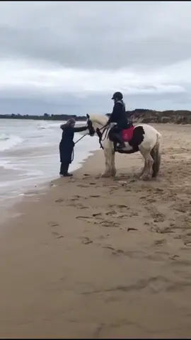 OH NO Diego 🙈🙈  #horsefail #fyp #beach #horses #Summer #swimming #😄😄
