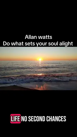 Follow for more mindset tips  #manifest #mindsetshift #allanwatts 