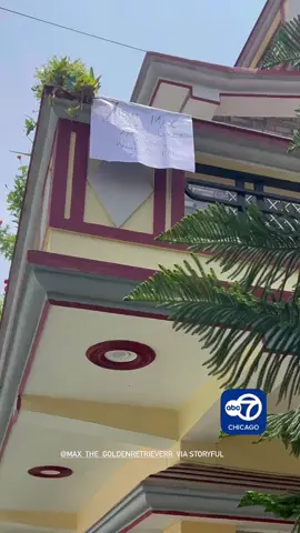 A dog owner in Uttarakhand, India, is helping passersby summon an ‘angel’ using a helpful sign. Footage posted to Instagram account @max_the_goldenretrieverr shows a banner hanging from a balcony, which says: “Shout Max, and if you are lucky, an angel will appear.” Max’s owner can be heard in the video putting the magic to the test, and sure enough, the angelic pooch quickly appears.