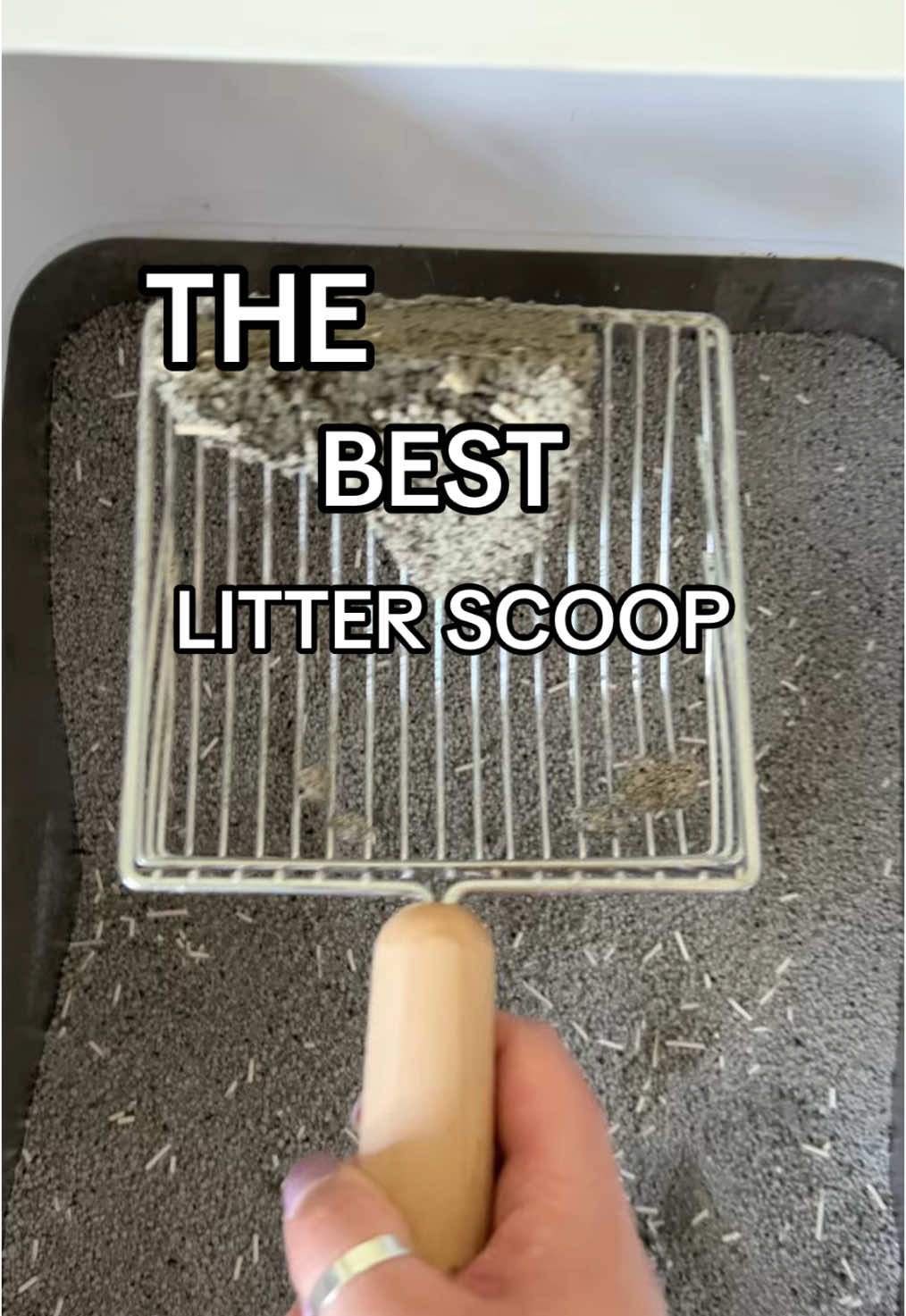 This cat litter scooper needs no shaking and scoops strong clumps in just one swipe and comes with a scoop holder @Sprinkle & Sweep 🙌🏻 #cat #catsoftiktok #cattok #litterscooper #catlitter #litterbox #catlitterscoop #litterboxhack #catlitterboxhack #scooper #litterboxtips #tiktokshopfinds #tiktokshopcreatorpicks #spotlightfinds #fyp 