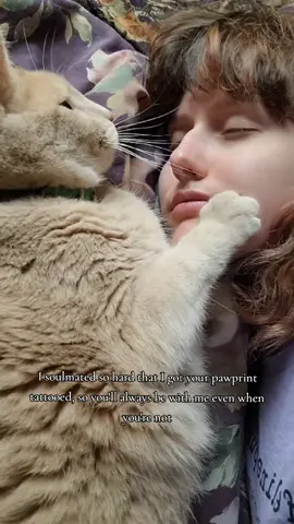 |Best Decision I've Ever Made| #catmom #tattoo #orangetabby #furbaby #catperson #mycat #catsoftiktok #cattattoo #greenscreenvideo 
