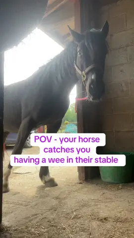 Horse girl problems. I think this is my best work yet. #fyp #horsegirl 