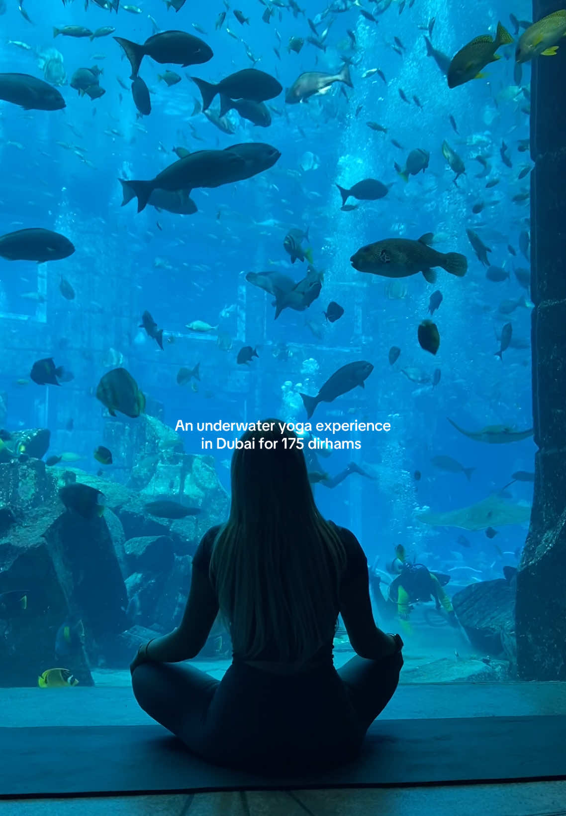 Experience a 1 hour yoga class underwater at Atlantis aquarium, Dubai…. For just 175 AED!! The most relaxing, memorable experience I would highly recommend 🐟🐬🧘🏼‍♀️✨ #dubai #aquarium #yogalover #underwater   