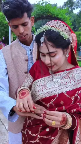 কে বলতে পারবে আমরা কি দেখতেছিলাম। 🤔