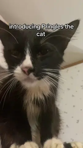 this is Pringles 