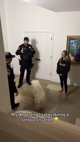 The doggo was celebrating 😂 @I Can’t Even (via:@F, S, L, T, B, S,) 