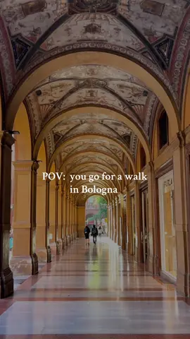 Bologna may be considered the food capital of Italy but it’s also the portico capital of the world with over 62kms of porticoes throughout the city including the longest in the world at 3.8km #bologna #portici #italy  #visititaly #traveltiktok #weekendaway #CapCut 