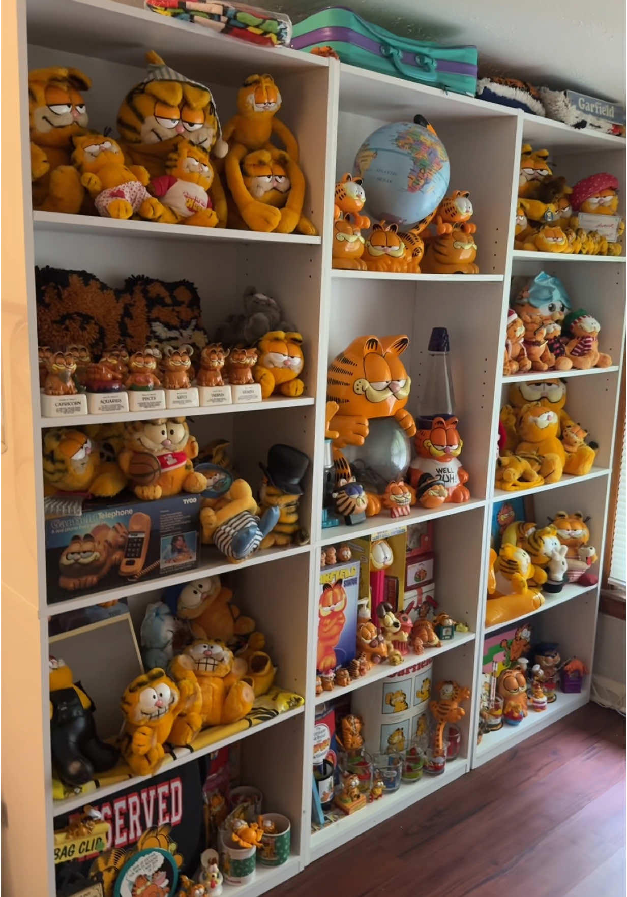 it’s nermal i think #garfield #collector #collection #specialinterest #fyp #foryou 