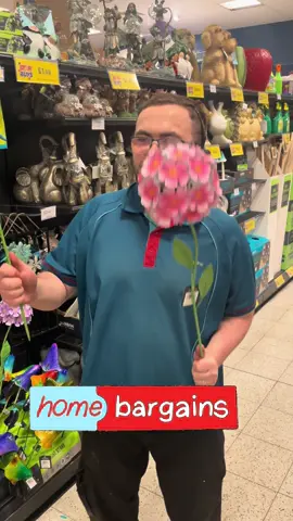 Beautiful garden decor now in stock #homebargains #homebargainsbentleybridge #homebargainsgarden #newinhomebargains #garden #gardendecor 