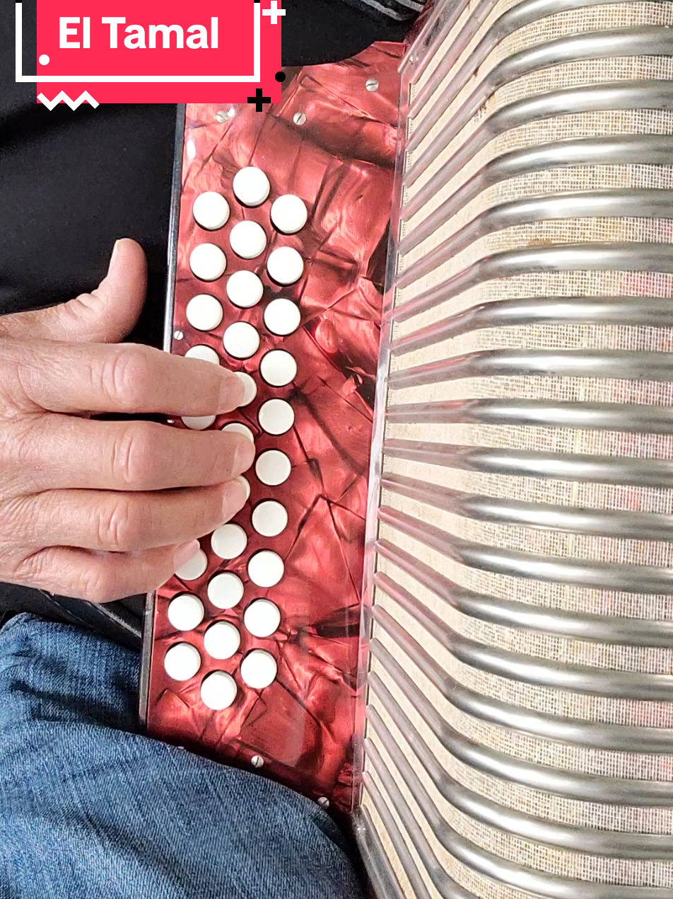 #CapCut #fypシ゚viral #laborviejaciudadfernándezslp #laborvieja #ciudadfernandez #accordionist #sanluispotosi #prati #fypシ゚vi #musicanorteña #rioverdesanluispotosi🇲🇽 #cerritosslp #lanoriacdfernandez #lostigresdelnorte #lostigresdelnorte🤠🇲🇽🥺❤️ #eltamal 
