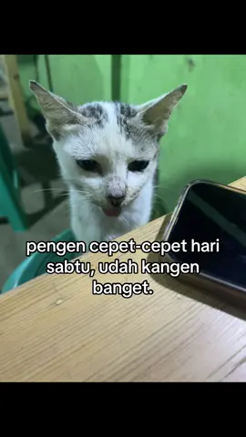 kangeeeennnnn #fyp #livephoto #kangen 
