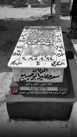 شلون اللحد والليل وَشلون الگبور 💔؟.. #فقيدتي #مااحلل_تاخذ_الفيد #إنا_لله_وإنا_إليه_راجعون #جدتي #لفقيدي_جعلك_الله_من_اهل_الفردوس😔💔💔 #هلي_اخباري_اذا_جتكم #مرتضى_حرب #النجف #وادي_السلام #النجف_الاشرف #يخوي_شلون_حالك_بين_الكبور #مقبرة_وادي_السلام_النجف #اللهم_صل_على_محمد_وآل_محمد #كسرتنه_الچبيرة💔 #اكسبلور #اكسبلورexplore #فولو #fyp #fypシ゚ #viral 