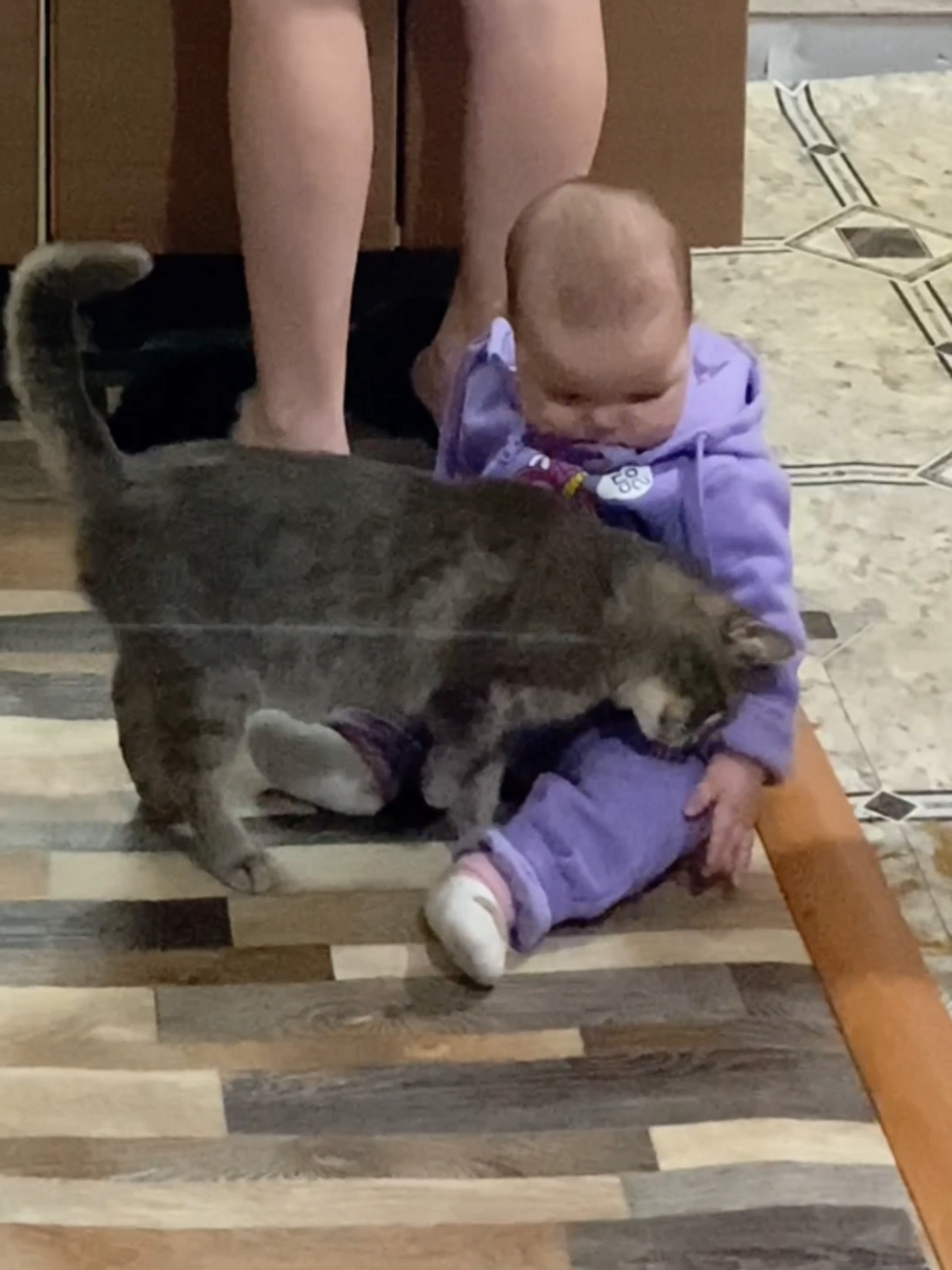 Cat nanny calms down a crying child while mom's hands are full 🥰🐈‍⬛ Licensed by ViralHog
