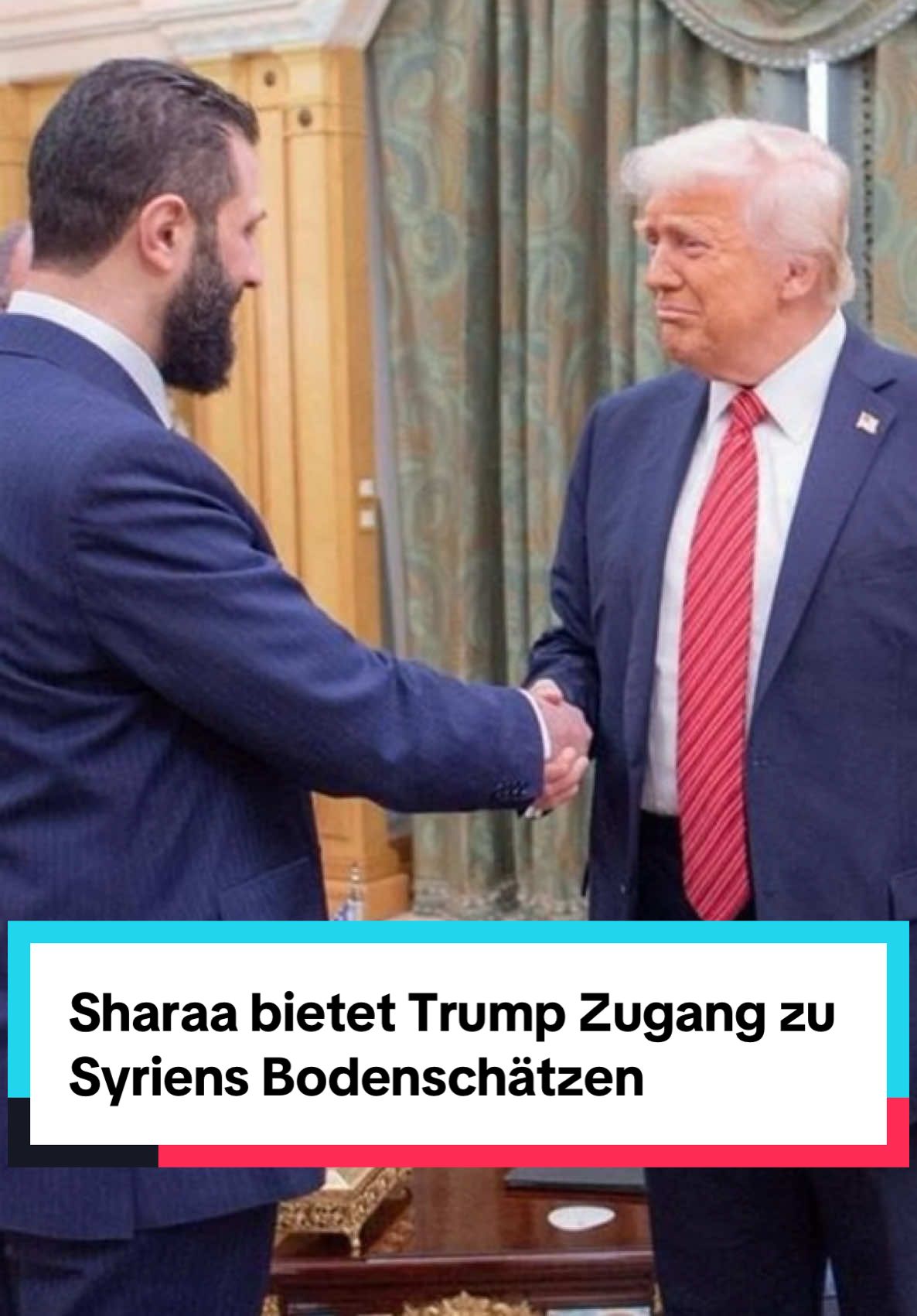 Sharaa bietet Trump Zugang zu Syriens Bodenschätzen und schlägt Bau eines Trump Towers in Damaskus vor. #syria #syrien🇸🇾 #donaldtrump #saudiarabia #news #neuigkeiten #Politik #geopolitk 