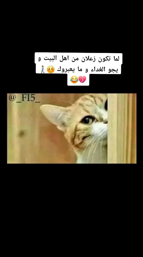 #virał #fyp #foryouge #عبارات #عباراتكم_الفخمه📿📌 #كلام_من_ذهب #مالي_خلق_احط_هاشتاقات #الشعب_الصيني_ماله_حل😂😂 #موريتانيا🇲🇷 #موريتانيا🇲🇷🇲🇷🇲🇷الحب #mauritania 