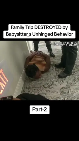 Family Trip DESTROYED by Babysitter_s Unhinged Behavior #foryou #cops #cops #policeofficer #trending 