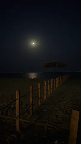 من مسرات الليالي بحر وقمرا..🌊 #الخبر #أكسبلور 