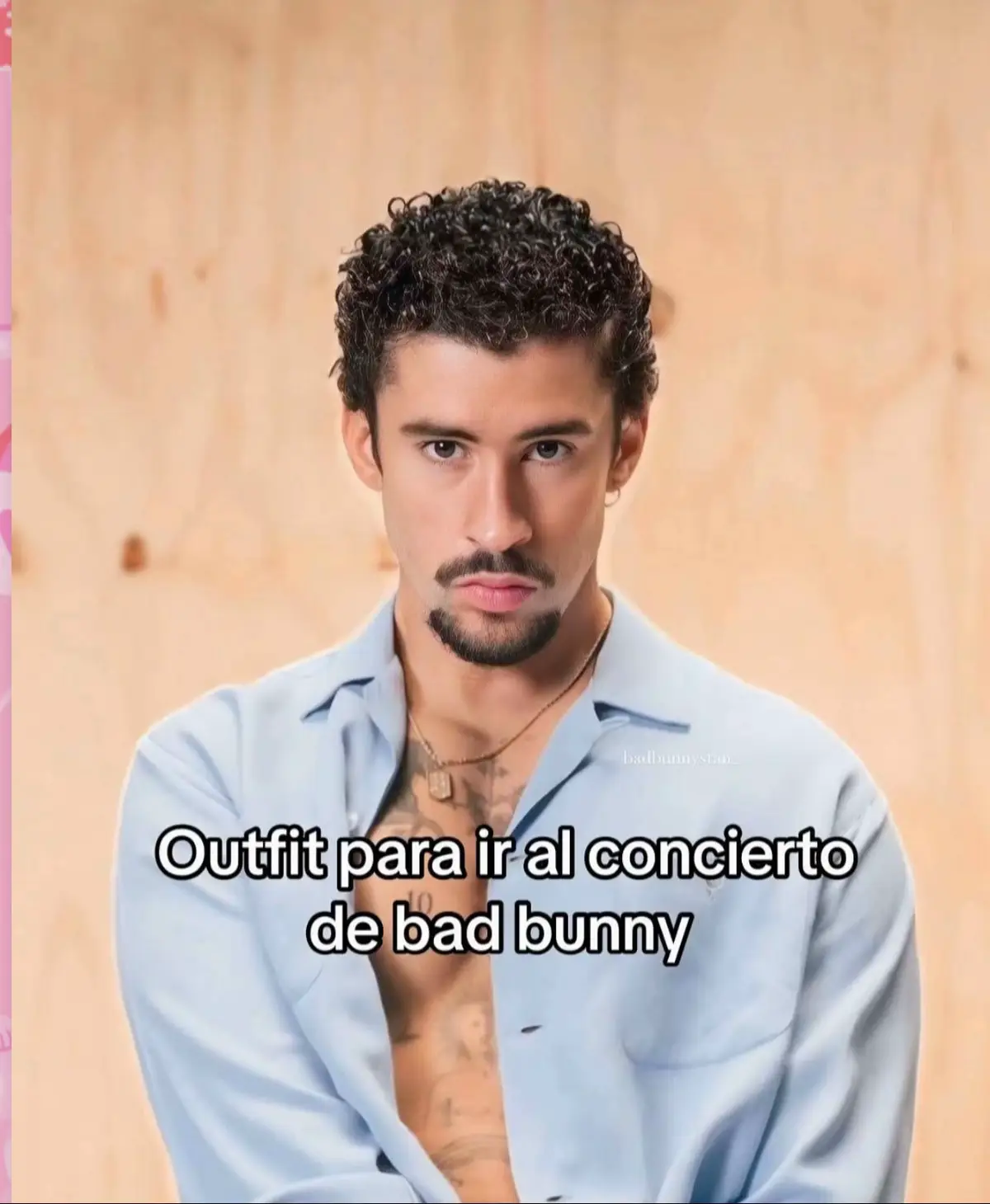 #badbunny #paratiiiiiiiiiiiiiiiiiiiiiiiiiiiiiii #outfitbadbunnyconcert 