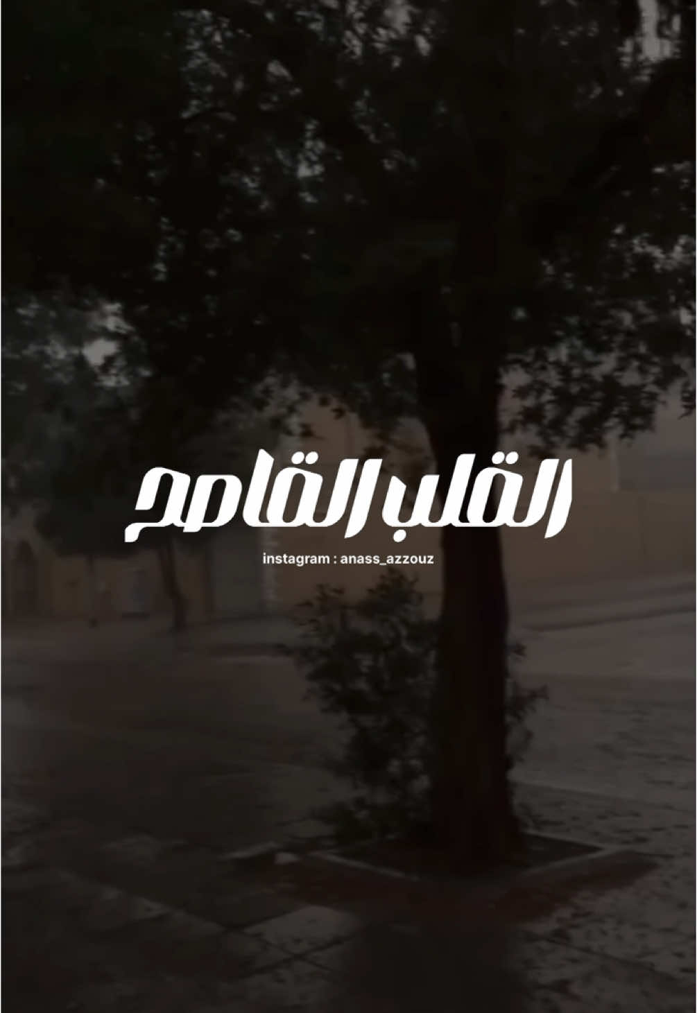 القلب القاصح راحة ✨ #pageforyou #foryou #pourtoi #explore 
