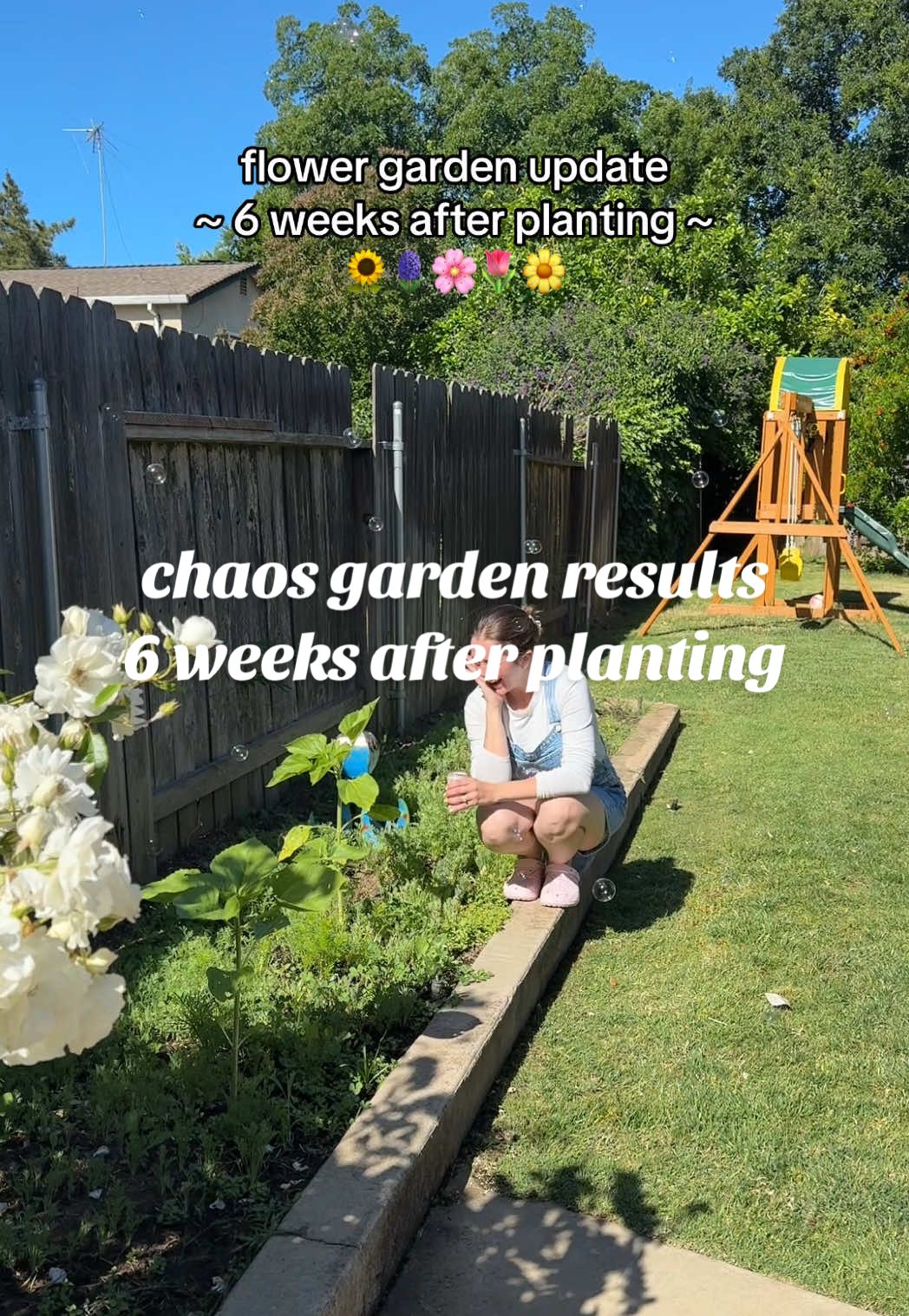 chaos gardening update: week 6 🌱☀️ need to do a little weeding this week but she’s looking good y’all! 👩🏼‍🌾💛#chaosgardening #gardening #beginnergardener #cutflowers #wildflowergarden #flowergarden #pollinatorgarden #gardendiy #gardenproject #craftymoms #diymom #relatablemom #californiamom #SpringIsHere #cutflowergarden #gardeningwithkids #momof2