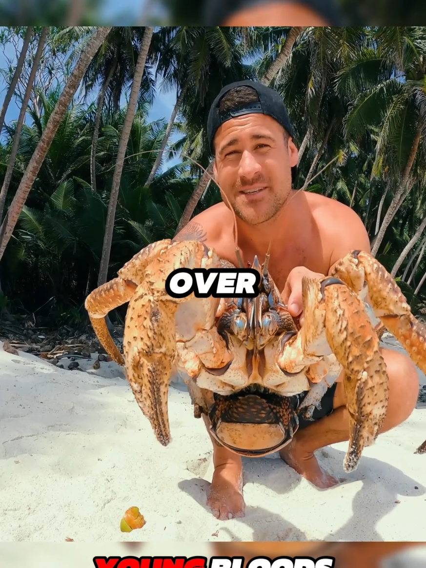 In search of biggest coconut crab in the world P2 #coconutcrab #catchandcook #camping #Outdoors #fishing #survival #fyp 
