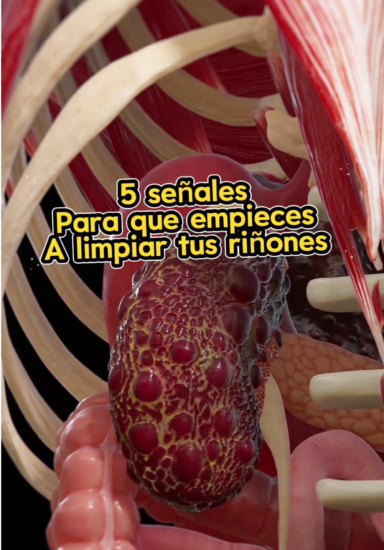 UN TÉ QUE TE ALIVIARE DE LOS MALES RENALES #kidney #kidneydisease #naturalmedicine #herbalmedicine #ginseng #té #healthytea #tiktokshopsummerturnup #tiktokshopcreatorpicks 
