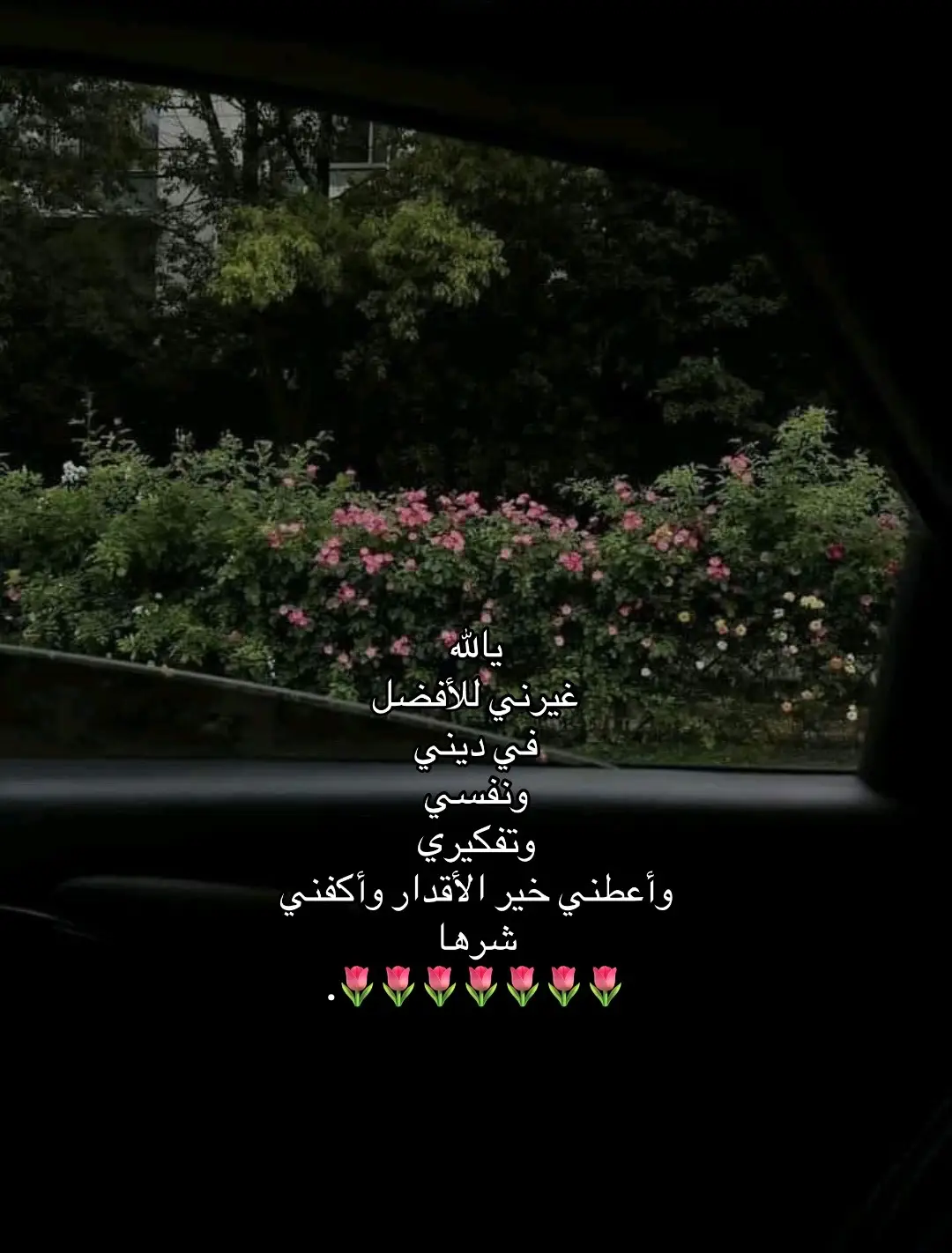 #قران #قران_كريم #قران_ #قران_quran🎧 #قران_كريم_بصوت_جميل 