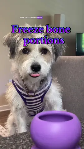 Use promo codes  PUPMAIL10 PUPMAIL25 🐾                                              #creatorsearchinsights #TikTokShopProducts #tiktokshopfinds #dogproducts #dogportions #snackportion #tiktokshopdogs #dogbone #dogtreats #dog #dogsoftiktok #freezeball #freezebone 