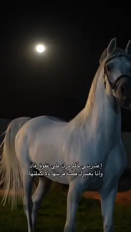 #خواطر #فراق #قصايد #هواجيس #قهوه #وداع #شعر #fyp #فرس#خيل#قمر 
