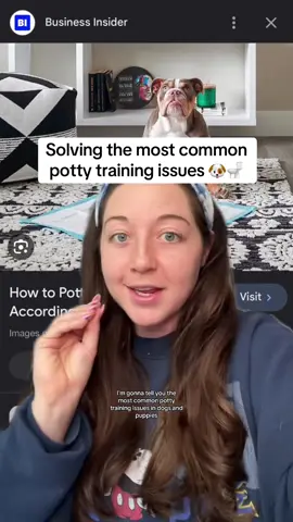 Reposting one of my favorite videos ever on PUPPY POTTY TRAINING 🐶🚽  Lmk if you have any Qs ➡️ #puppytraining #cratetraining #dogtrainingquestion #dogtraining101 #peepads #newpuppy 