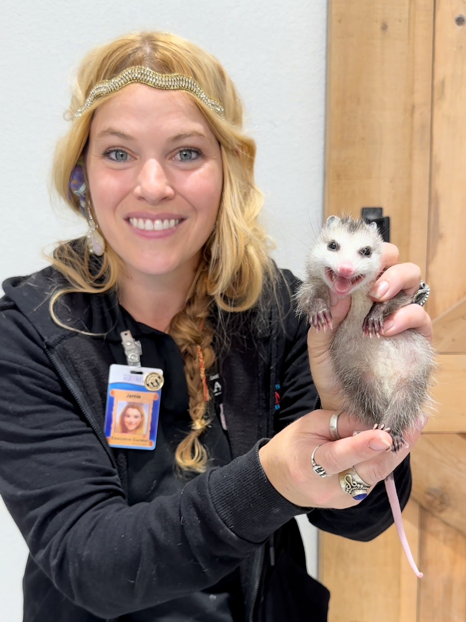 Update on Scrap! #Opossum #VirginiaOpossum #TexasNative #Texas #OpossumsOfTikTok #Nature #Wildlife #Conservation #Rehabilitation