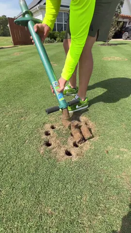 Replying to @Wiktor Truszczyns531 Plugging - a way to make a lawn bare spot fill in faster. #LawnRenovation