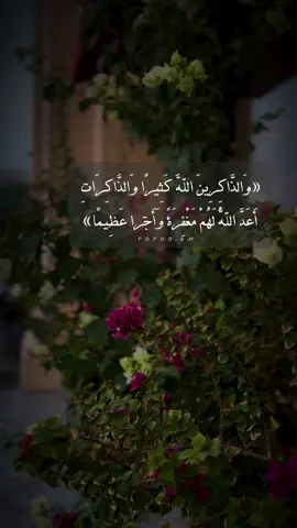 #اذكروا_الله_يذكركم #ذكر_الله #لاإله_إلا_الله #والذاكرين_الله_كثيرا_والذاكرات #لاحول_ولا_قوة_الا_بالله_العلي_العظيم #تصويري #explore #مقاطع_دينية #بدون_موسيقى #foryoupage #fyp #foryou #🤍 