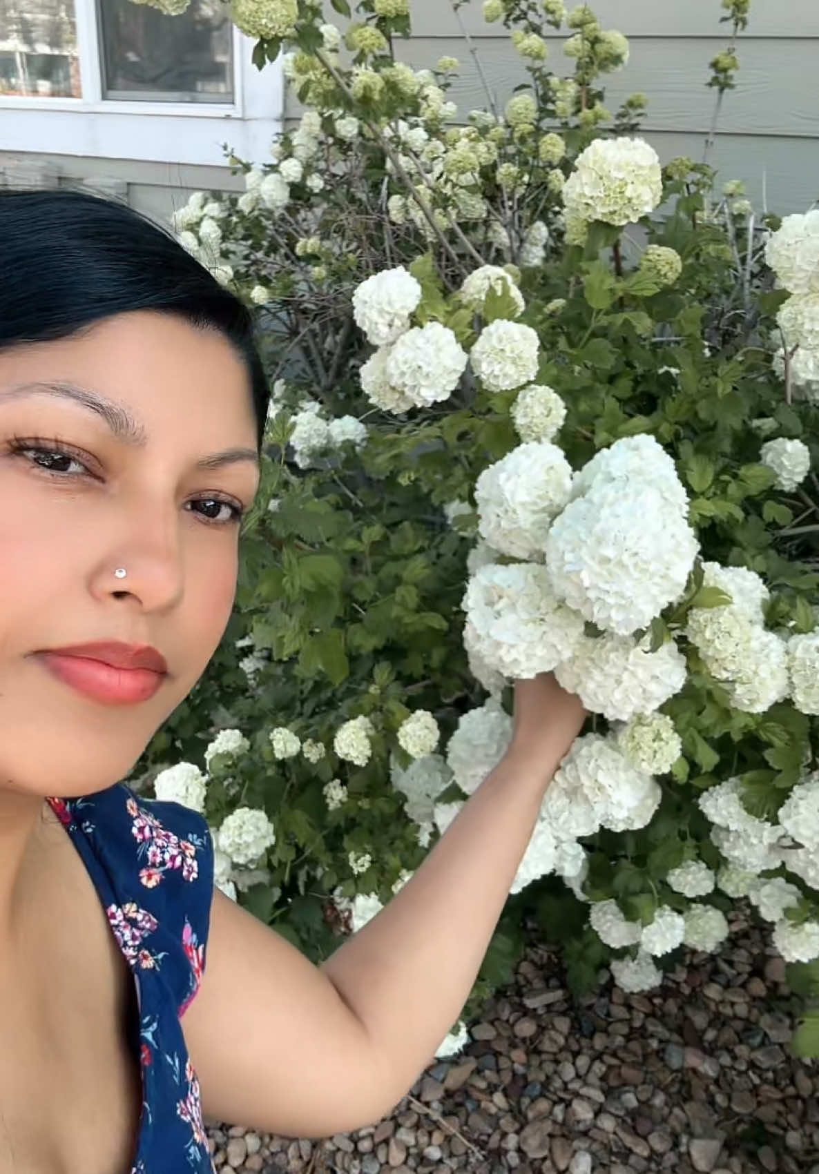 #राम्रि_नै_छु_फुल_भन्दा#Summer#summervibes#TikTok#fyp#fyppppppppppppppppppppppp#foryoupage❤️❤️#USA#goviral#goviralgo# #viral#viralvideo#tiktokviral#