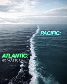 we are bringing animal beef into 2025 | Atlantic Ocean had to show yall who she was 😭 | ib @akamarch | #pacificocean #atlanticocean #edit #viral #blowthisup #trending #sealife #fyp #foryoupage 