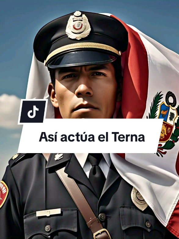 EL TERNA EN LAS MARCHAS: Así actúa un terna infiltrado en las protestas del Perú ¿Sabías que en cada huelga hay un actor pagado por el sistema? Se llama 