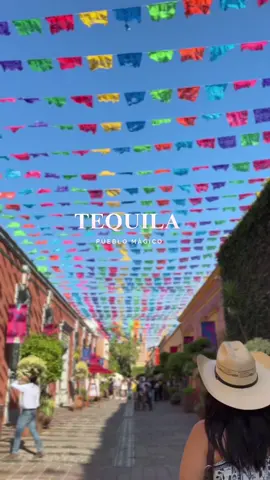 Tequila, Jalisco: la cuna de nuestra bebida más famosa y uno de los Pueblos Mágicos más encantadores de México. Entre agaves, haciendas y tradición, este lugar tiene un sabor único… ¿ya lo conoces? #TequilaJalisco #PuebloMágico #RutaDelTequila #JaliscoEsMéxico