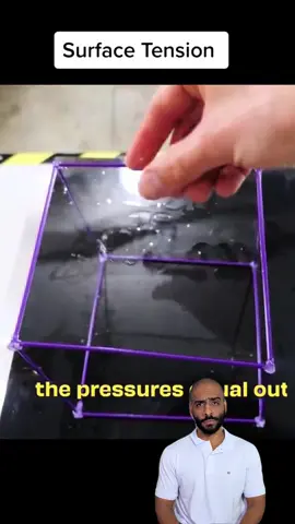 How Surface Tension Creates Perfect Forms! #SurfaceTension  #PerfectShapes  #SoapBubbleScience  #PhysicsInAction  #ScienceExperiment 