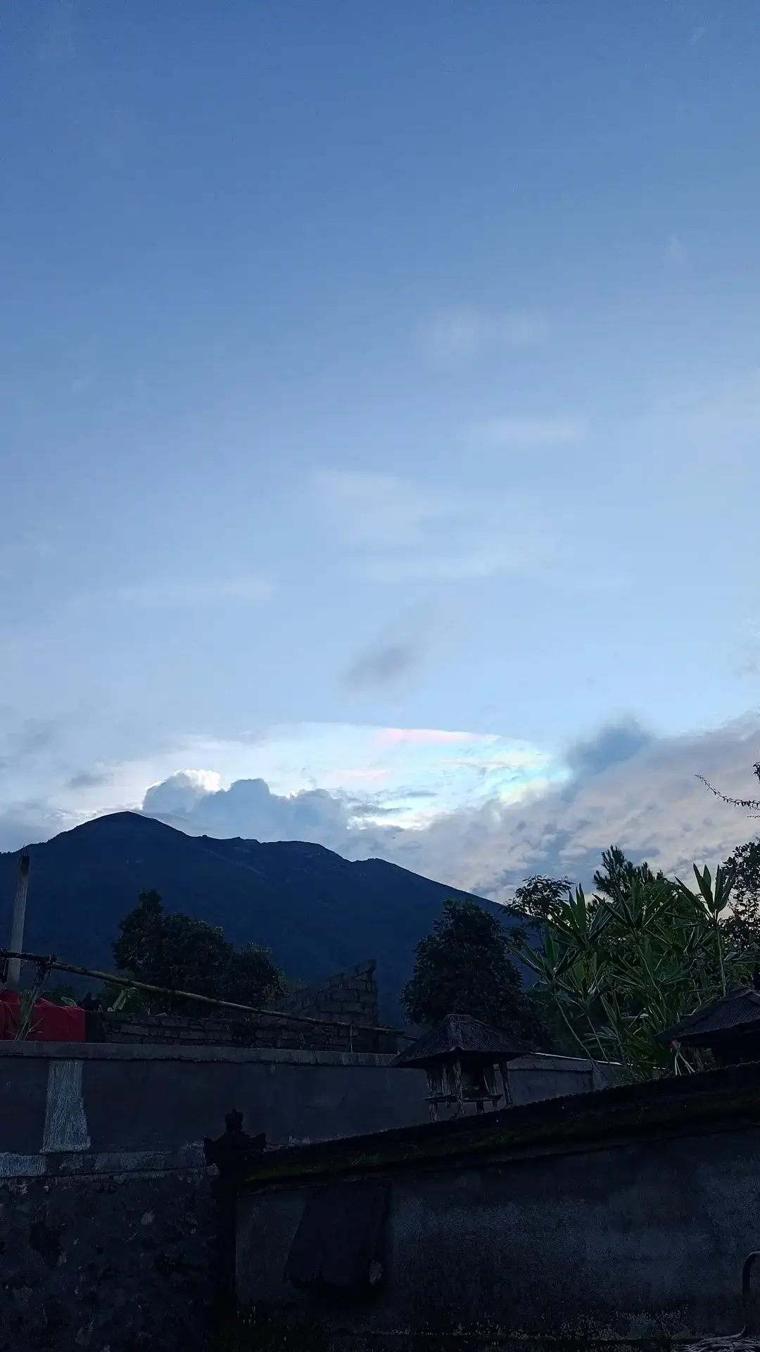 #mountain #pendakigunung #gunung #pencintaalam #pohon 