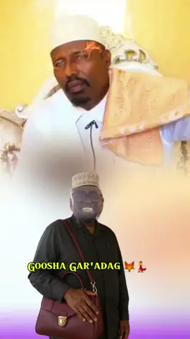 Goosha gar'adag caadibey noogu soo kala qabatee