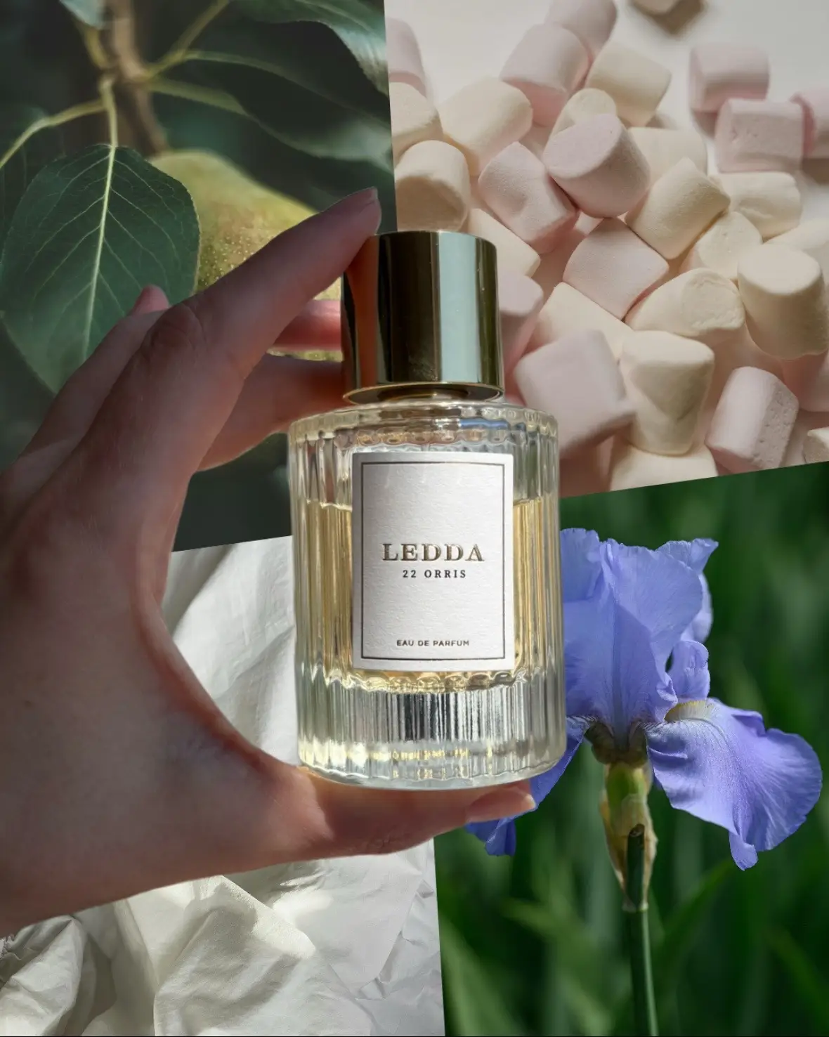 I’ve wanted to try this perfume for a long time, and I happily discovered a secondhand bottle on Mercari. I love it as much as I expected—and it smells just as I imagined it would. Soft, clean, fresh—but a little creamy. I absolutely recommend it. Do you have a favorite from the @LEDDA line? I’m curious about the others 👀👀 #leddafragrance #ledda22orris #cleangirlperfume #cleangirlfragrance #fragranceobsessed #skinscent #irisperfume #irisfragrances #nicheperfumes #perfumetiktok #perfumetok 