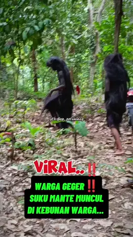 PENAMPAKAN SUKU MANTE ASLI #viral #sukumante #anakkampung 