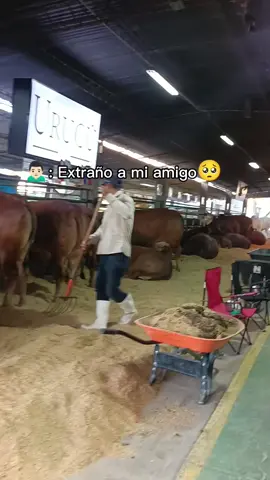 🤣🤣#CapCut #amigostiktok #foryoupage 