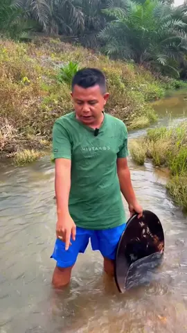 Looking for gold and panning for gold buried in river walls #viralvideo #golddiscovery #goldhunter #goldpanning #mininggold #gold #foryou #foryoupage 