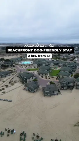 Welcome to the Sanctuary Beach Resort ✨ a dog-friendly beachfront resort for your bucket list! Things to know — ✨Recently refreshed with a modern, coastal charm ✨Rooms, suites, and villas nestled on the beach ✨Short drive to downtown Monterey/Carmel  ✨$50/per night pet fee ✨2 Dogs and cats welcome up to 90lbs Amenities — 🌊 Secluded dog-friendly beach 🔥 Nightly bonfires 🍽️ Delicious on-site restaurant @saltwoodkitchen  🚲 Complimentary bikes 🧘🏻‍♀️ Beach yoga and hikes on the weekends 🌐 Bocce ball court & lawn games 🚘 Complimentary parking 📍 Marina, CA  #dogfriendlyhotel #dogfriendlytravel #seemonterey #thesanctuarybeachresort #saltwoodkitchen