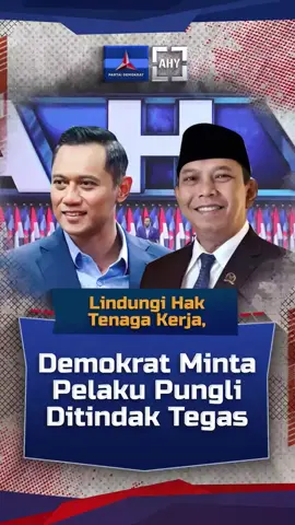 Tindak Tegas Pelaku Pungli Lindungi hak Rakyat dan pekerja. #tindakpungli #punglimeresahkan #pdemokrat #demokratcilacap #pekerjakeras #buruhpabrik #buruh 
