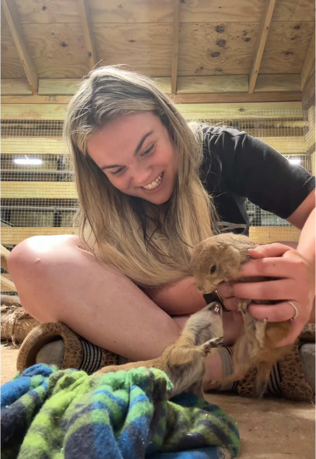 Chip gets to meet her new bother and sister! 