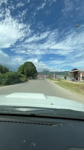 Tocache #selva  #tocache_sanmartin😍🌴 #🐒🐒 #🐯 #🦋 #viajestiktok #lima #tingomaria #santalucia #uchiza #huanuco_perú❤️ #via #canta 