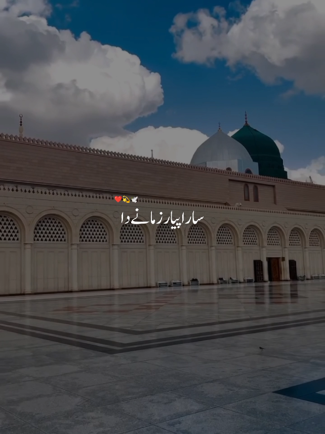 ❤️💫🕊️ سارا پیار زمانے دا  #naat #jummahmubarakstatus #muhammadsaw #naatstatus #islamicvideo #viral #foryou #editsbyahmed 